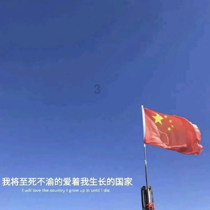 忍者鲨鱼
