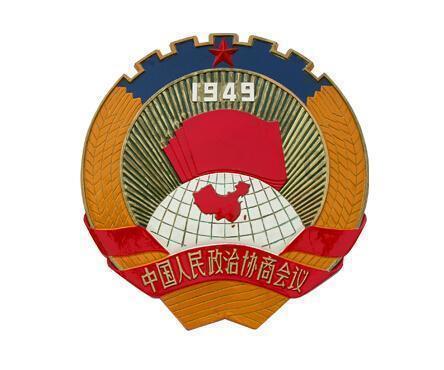 拯救机智男孩